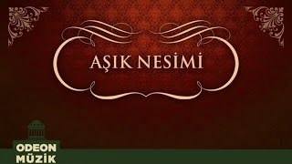 Aşık Nesimi - Ah ile Vah Benim İçin / Akıl Ermez (45'lik))