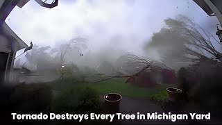 Tornado Destroys Every Tree in Michigan Yard: Severe Weather Devastation