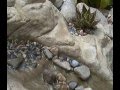 Fake rock (water feature / pond construction)