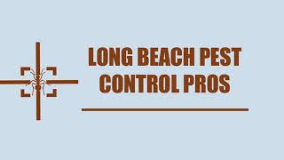 Long Beach Pest Control Pros - Pest Control Service in Long Beach CA