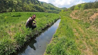 CREEK Fishing in a SECRET SPOT for GIANT FISH!