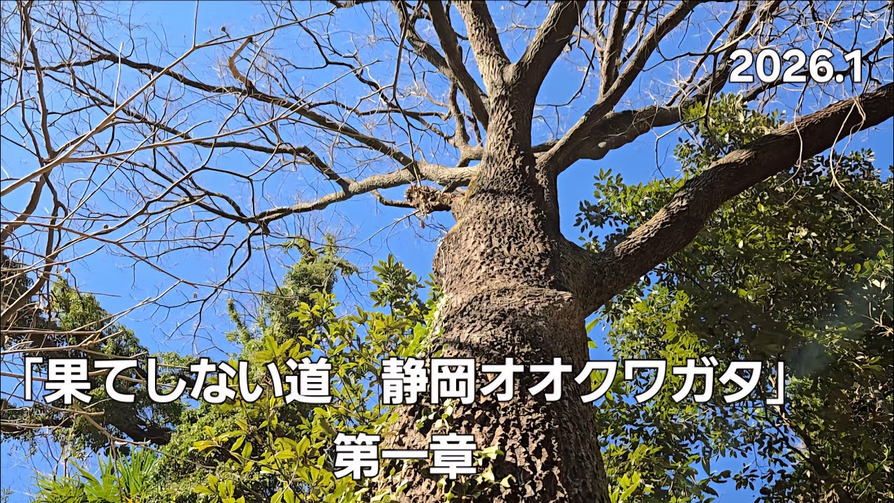 「果てしない道　静岡オオクワガタ」　第一章