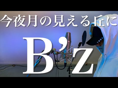 【平成】B'z / 今夜月の見える丘に