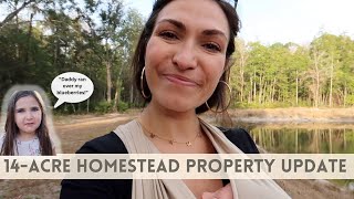 14 Acre PROPERTY UPDATE | South Georgia HOMESTEAD