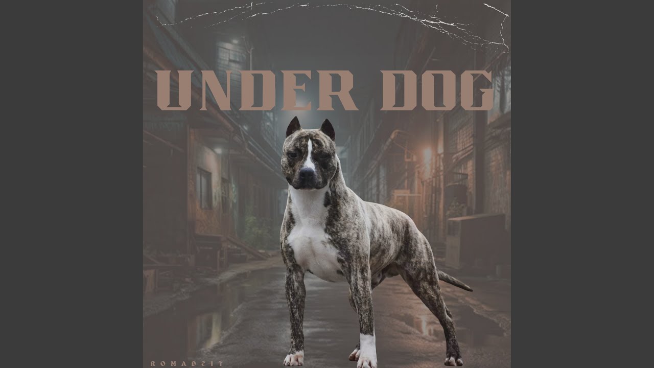 Watch Together on YouTube Watch Together on YouTube