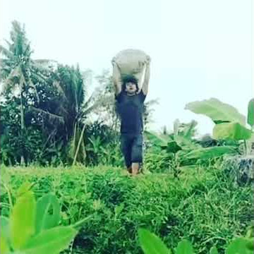 story WA Ninggal Tatu - Dory Harsa (balada tukang ngarit)