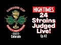 High times cannabis cup 2022 live judging  ep 2