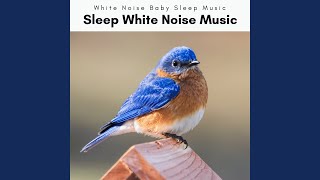 Brown Mastery and Total Nap
