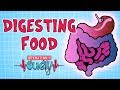 Operation Ouch - Digestion | Biology for Kids