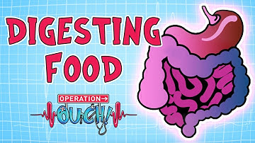 Operation Ouch - Digestion | Biology for Kids