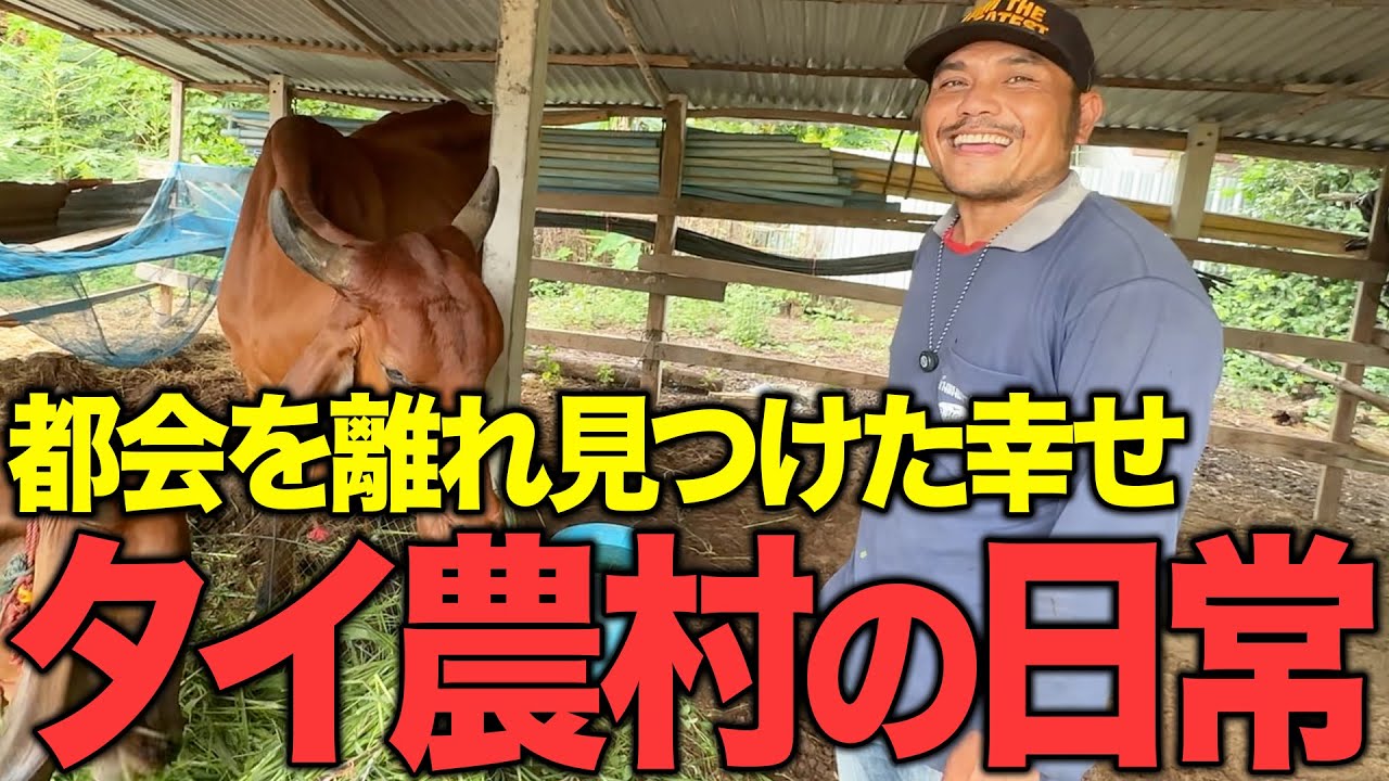 【タイ在記】自然と共に生きるタイ農村のリアルライフ