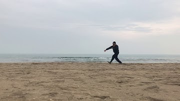 Tang Lang Quan 螳螂拳 - Duo Gang Quan - Febbraio 2018