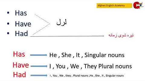 /has /had /have/grammar lesson/ the correct usage in pashto/ all grammar concepts