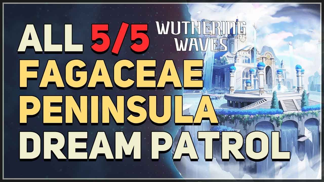 Fagaceae Peninsula All Dream Patrol Wuthering Waves