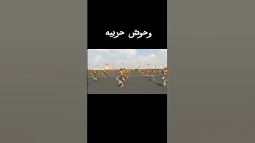 وحوش حربيه رجاله الجيش المصري الحر الجيش المصري الجيش السيسي Army Military Militarysoldier 