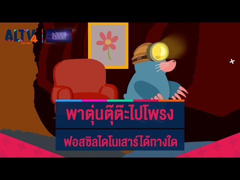พาตุ่นตุ๊ต๊ะไปที่โพรงฟอสซิลไดโนเสาร์ได้ทางใด : ไขปริศนาเกมพิชิต Code