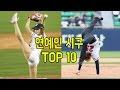 숱한 남성들을 설레게 했던 여자 연예인 시구 TOP10