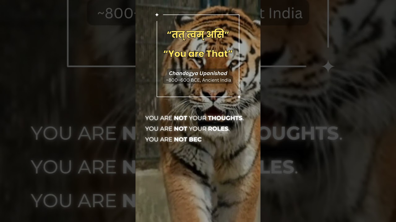 You Are That. | Tat Tvam Asi | Ancient Power, Modern Clarity