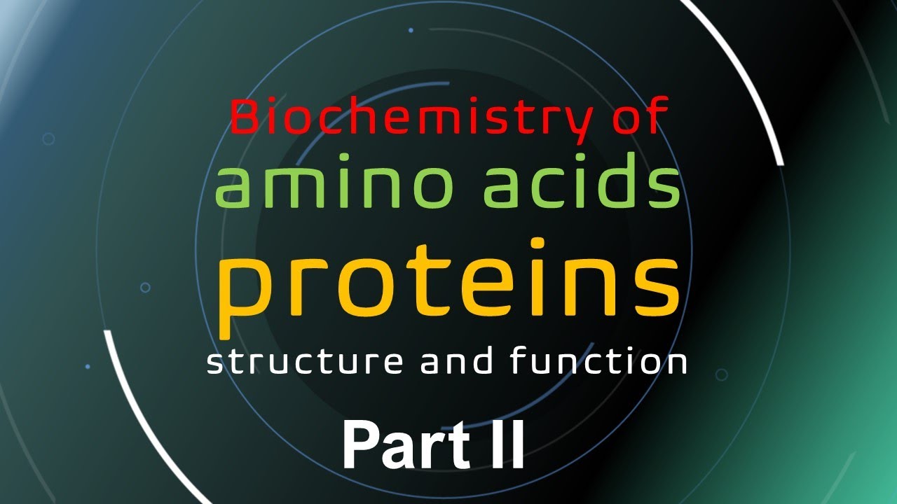 biochemistry of proteins and aminoacids part II