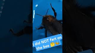 I Did Not Fart On The Bee