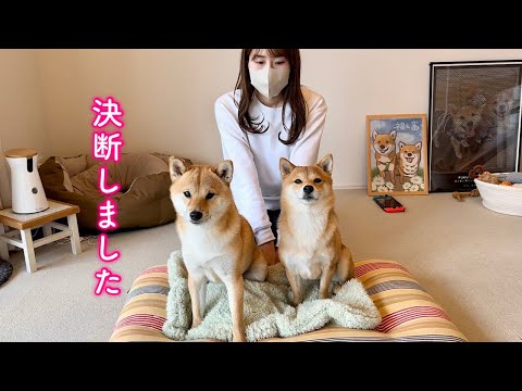 愛犬の為にある決断をしました。