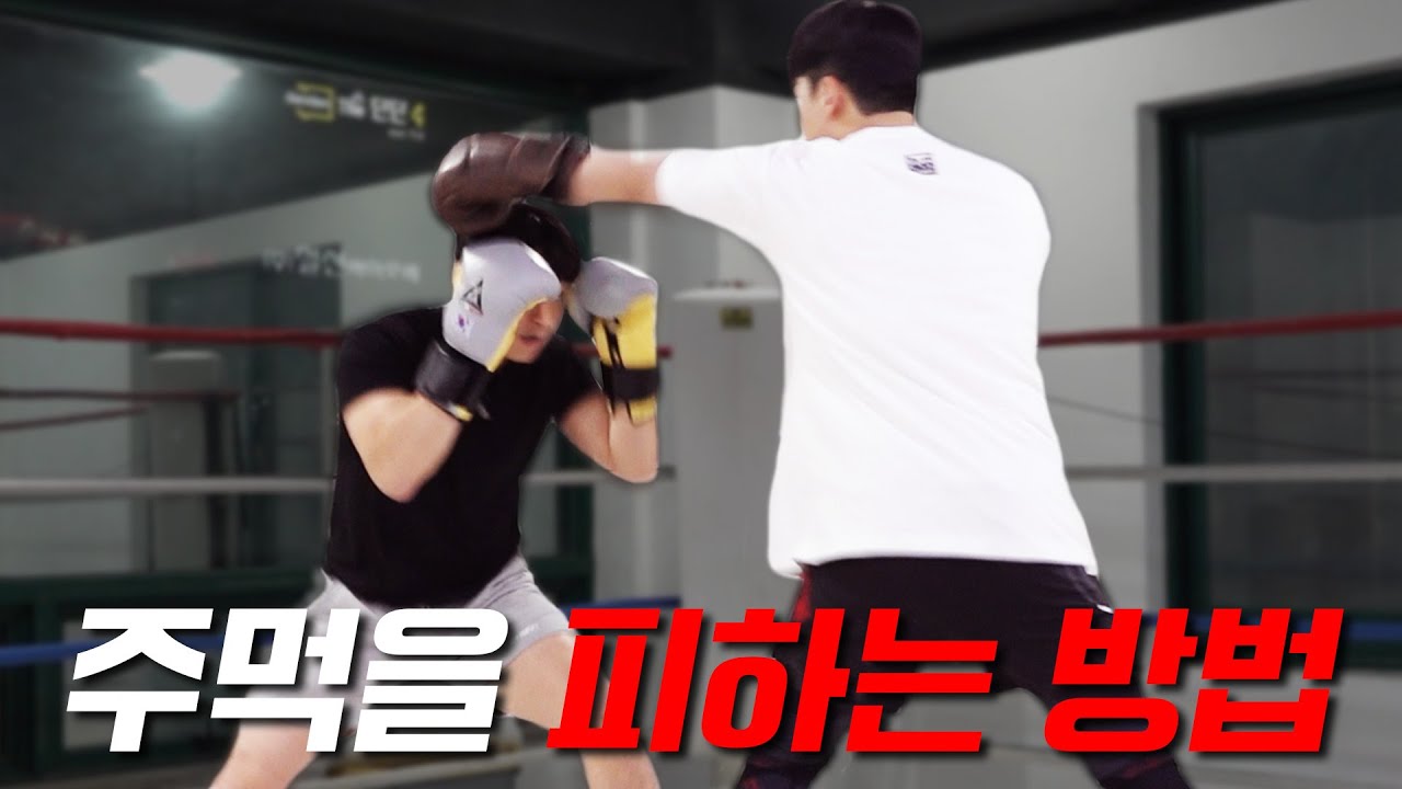 격투기 선수들은 주먹을 어떻게 피하는 걸까? [KOREAN SUPERBOY]