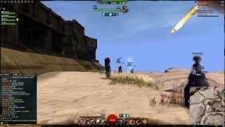 GW2 Absorb trebuchet
