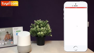 Quick Guide of Using Google Home to Control Smart Devices