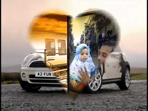 مهرجان ملوك الطوبجيه ابراهيم اشحات