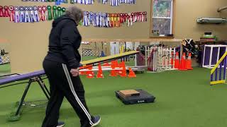 Teeter Practice