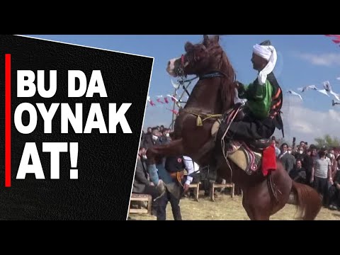 Bu da oynak at!