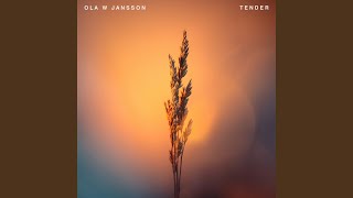 Tender