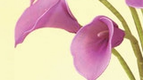 DIY Instruction: How to Make Wedding Flower - Calla Lily | Nylon Stocking flower