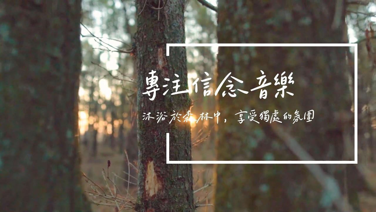 Chill音樂 | 沐浴於森林中，享受獨處氛圍 | 專注信念音樂𝜗ৎ