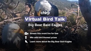 Big Bear Bald Eagles with Expert Sandy Steers | Chirp Nature Center