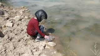 Releasing the Red Spotted Toads