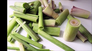 Công dụng chữa bệnh bất ngờ của cây sả