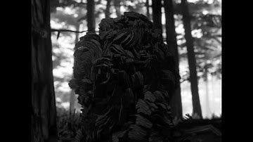 The Way I Am - Bent Muffbanger original song