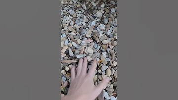 Extracting Iron From Cereal