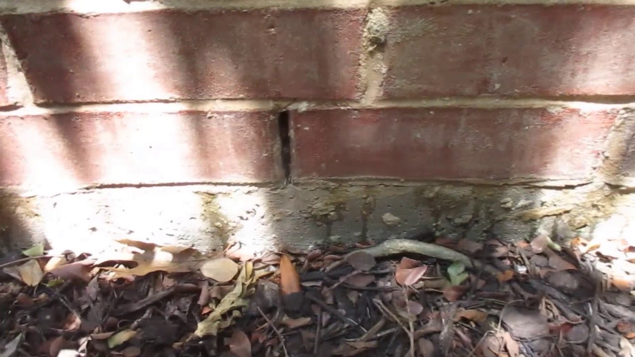 Inspector Tip: Leaking Water on Wall