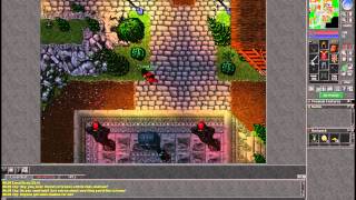 Tibia quests: The Rookie Guard Quest