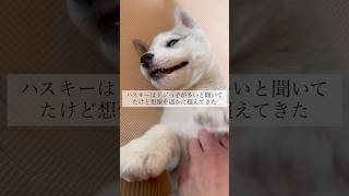 想像を遥かに超えるな #shorts