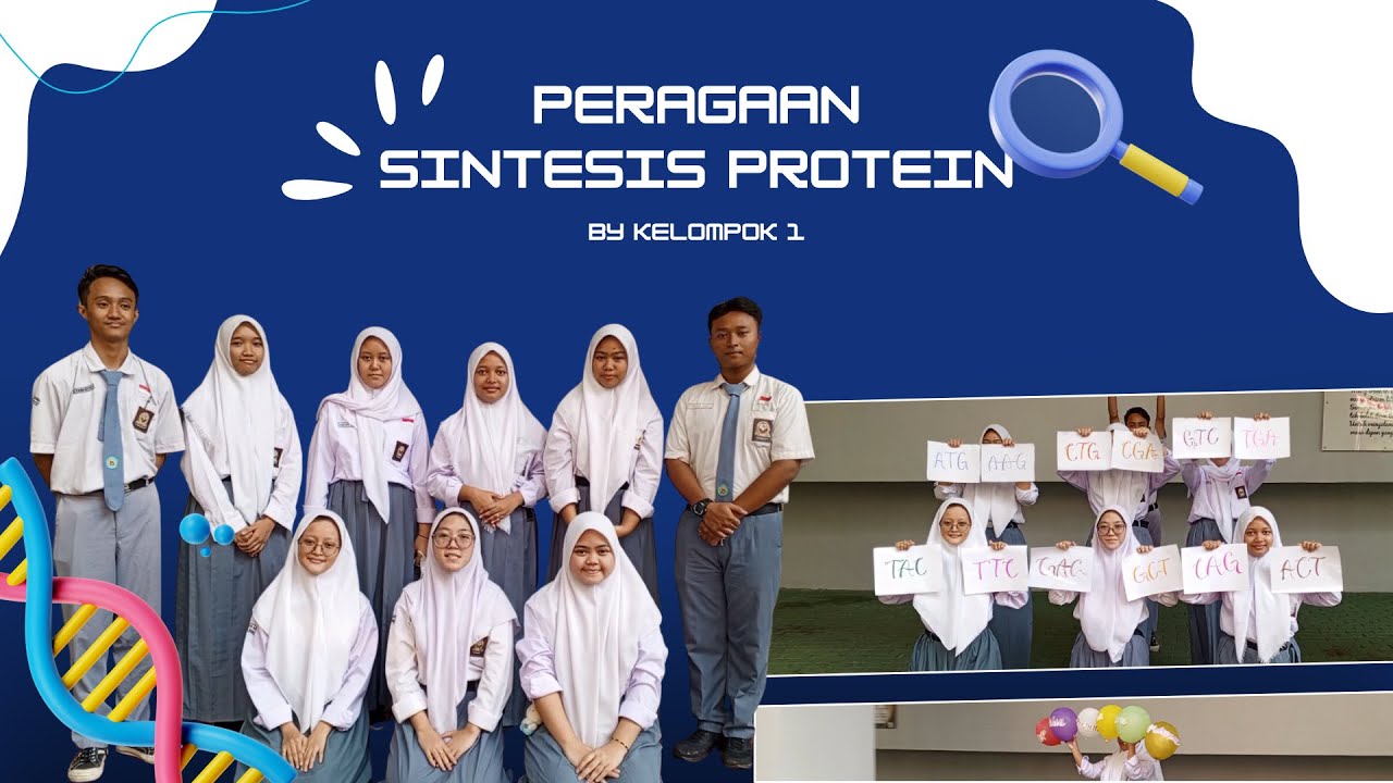 TUGAS BIOLOGI PERAGAAN SINTESIS PROTEIN |Peminatan Biologi K.5 Kelas ...