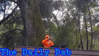 The Daily Dab 56