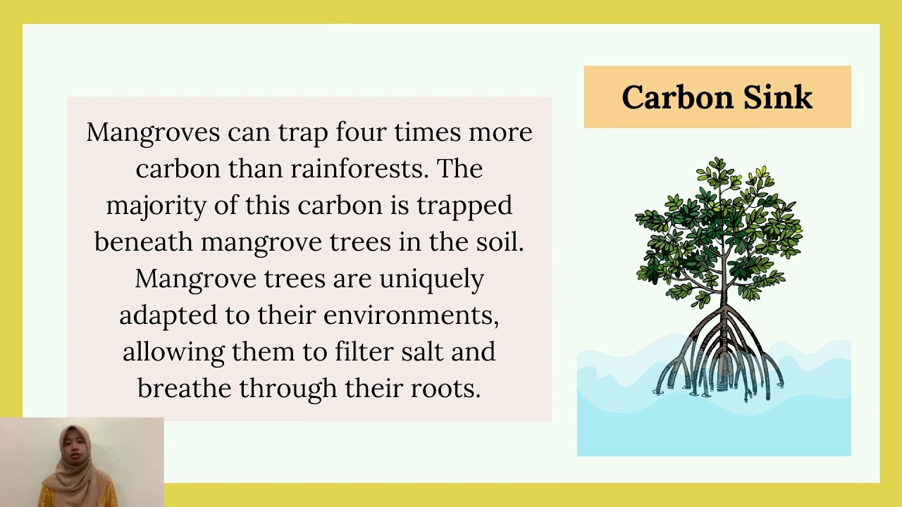 Regulating Services in Bio-walk and It's Valuation Method