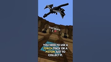 The Rarest Item in Minecraft – Almost Nobody Has It!