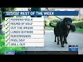 FIRST ALERT: Late-July relief brings a break from miserable humidity