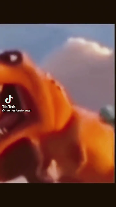 ROAAAA- wait what?