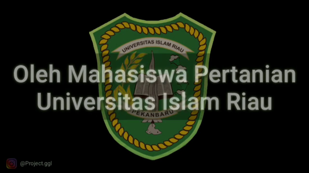 PENYULUHAN KE MASYARAKAT TENTANG BUDIDAYA TANAMAN KEMANGI... - YouTube