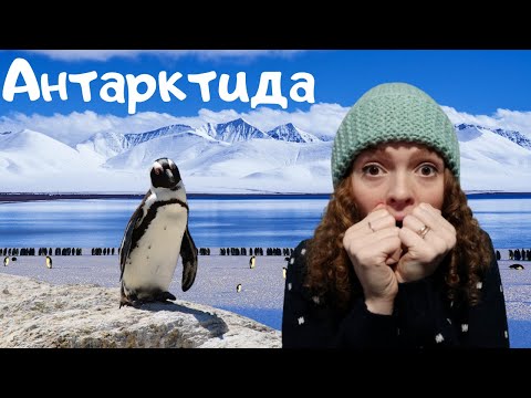 Видео: Антарктида - люлка на цивилизацията? - Алтернативен изглед